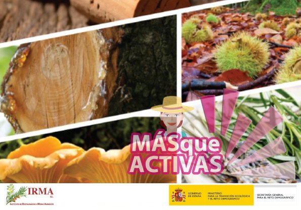 CURSO